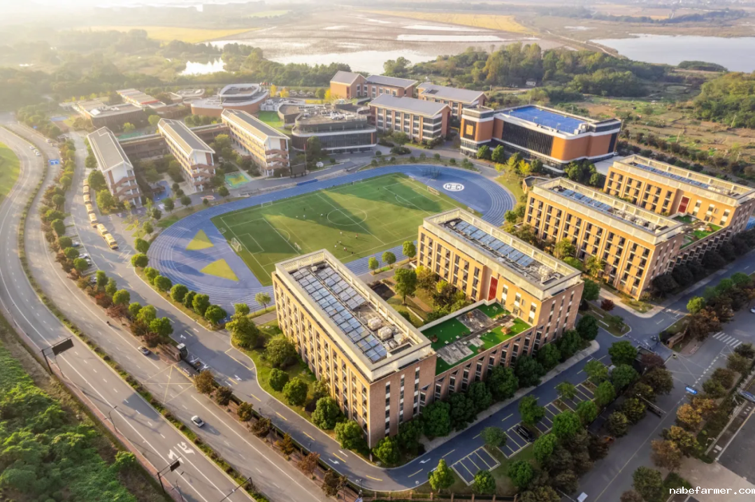 2025年杭州余杭区的国际学校汇总