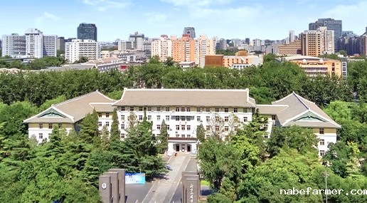 北外同文外国语学校收费标准