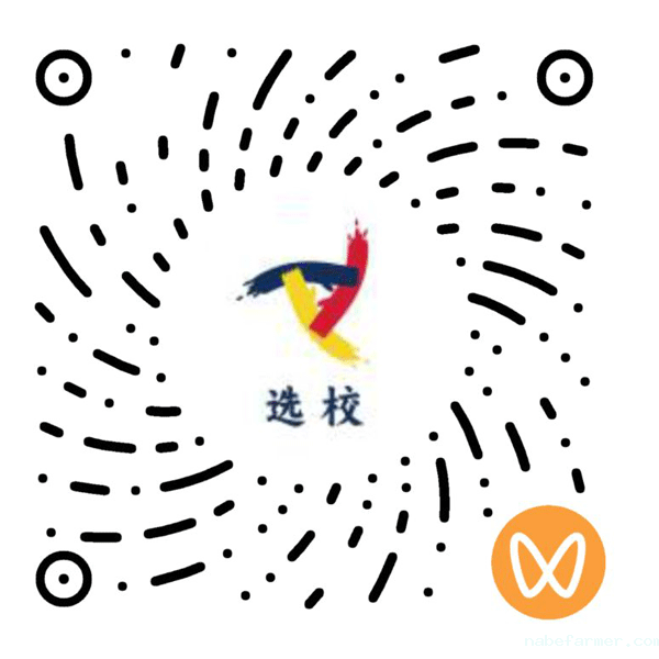 国际选校专家