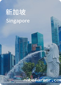 新加坡