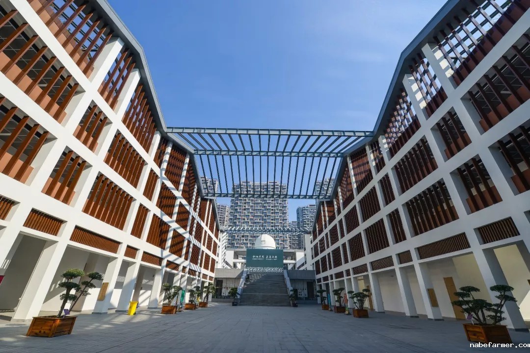 杭州这些国际学校真“壕”，想读国际学校也不用惧怕学费了！