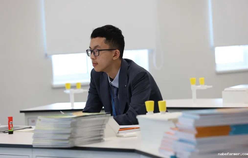 教育焦点 | A Level 与IB课程的区别 A Level vs IB: what are the differences?