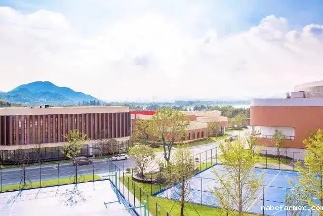 择校必看升学率，杭州国际学校近两年升学情况一览