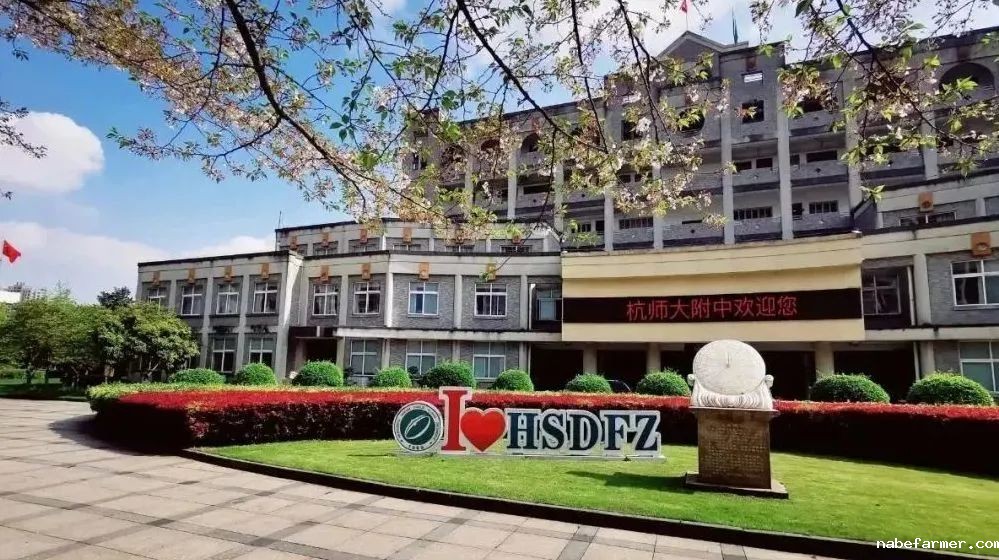 【升学数据汇总】杭州国际学校2023年升学数据都如何？！快来一起看看吧！