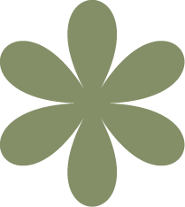 来到新学校，感受大不同！三牛国内高中部新生畅聊