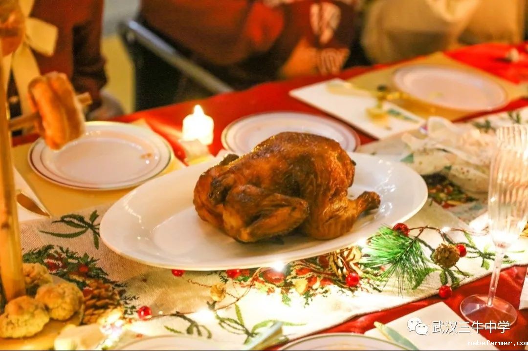 三牛圣诞晚宴，师生欢乐共聚！