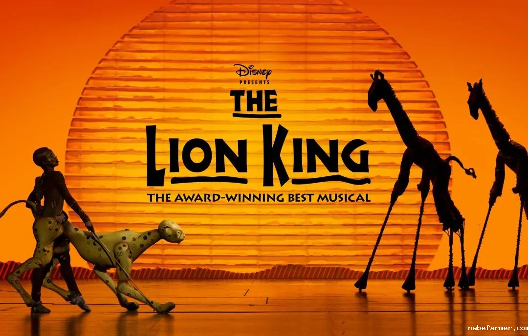 就在下周一！惠灵顿课外课程学院报名开启！