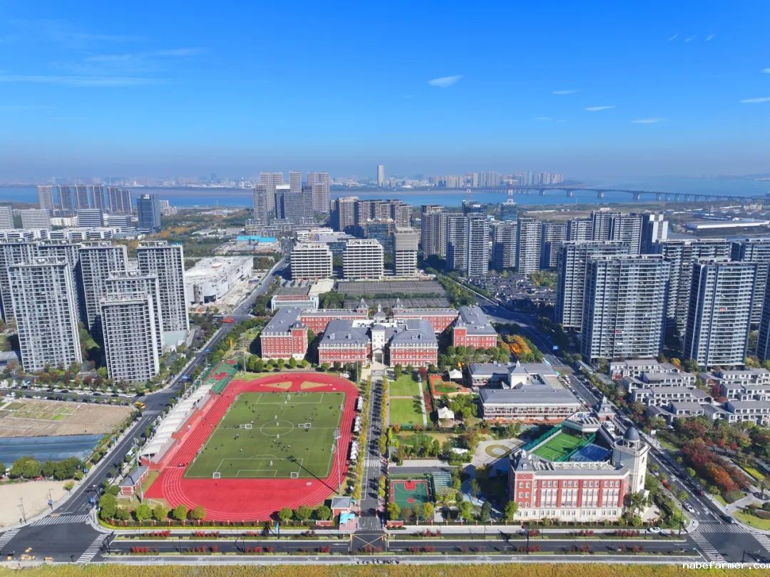 IGCSE成绩回顾 | 惠灵顿杭州校区学子远超全球平均水平