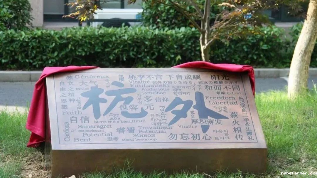 最新最全！30＋所杭州国际学校，你pick哪一所？