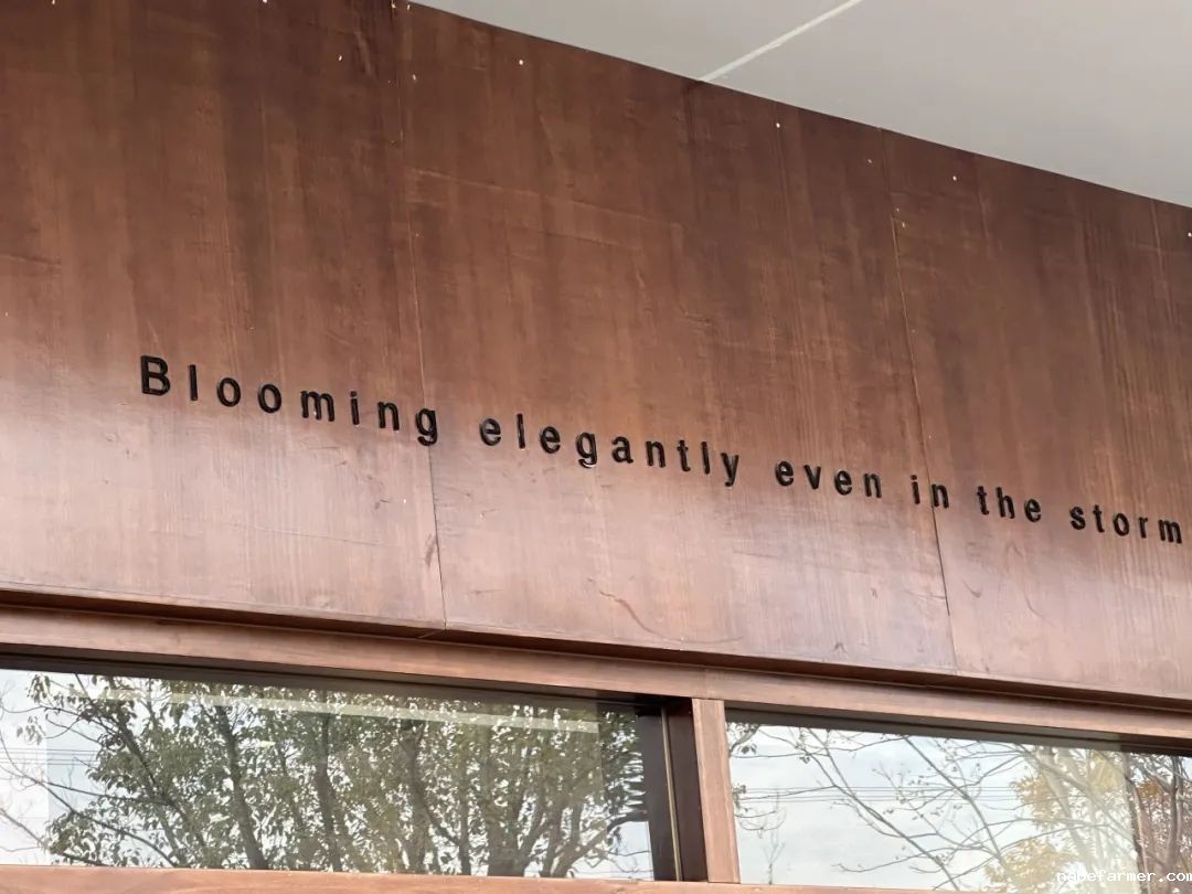 从心，至匠心 | 对话创校家长Justin