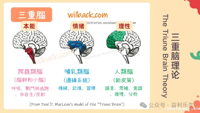 漢鼎事 | 工作坊圓滿落幕 家長們收穫滿滿