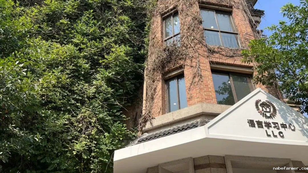 杭州中考成绩即将公布！这些7月仍在招生的沪杭优质国际高中来为您兜底！！