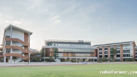 杭州中考成绩即将公布！这些7月仍在招生的沪杭优质国际高中来为您兜底！！