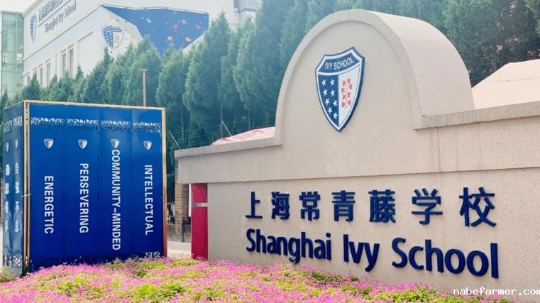 杭州中考成绩即将公布！这些7月仍在招生的沪杭优质国际高中来为您兜底！！