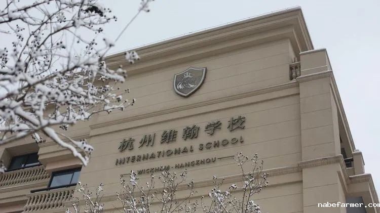 国际课程|杭州国际高中择校之日本EJU课程篇