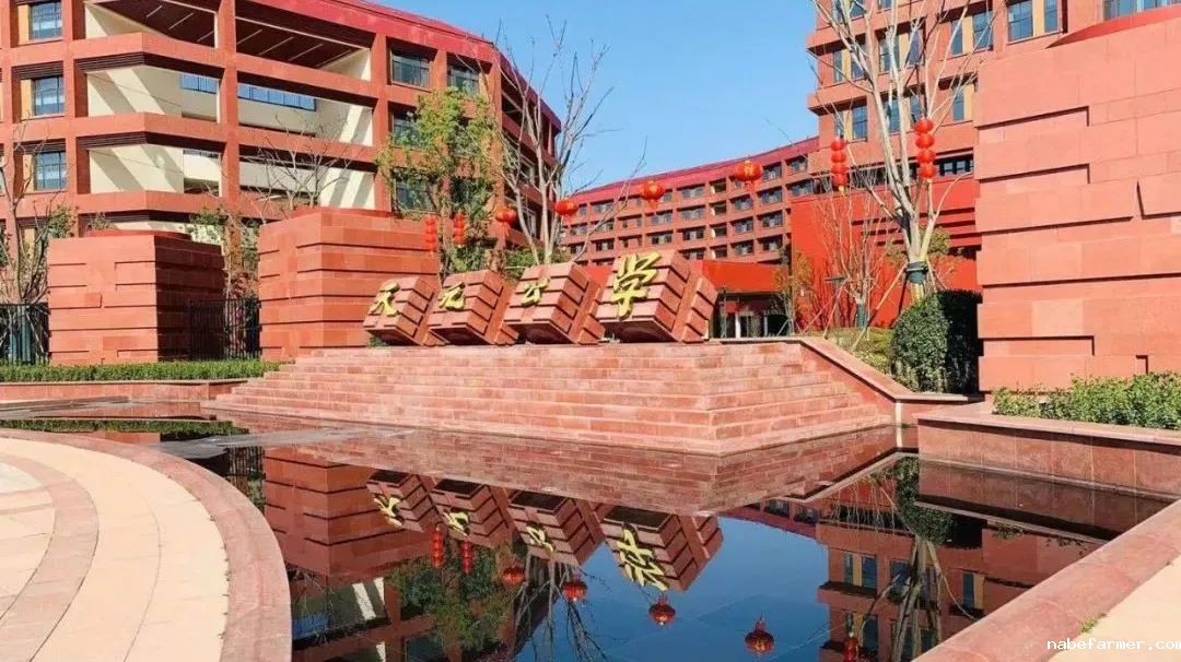 杭州中考成绩即将公布！这些7月仍在招生的沪杭优质国际高中来为您兜底！！