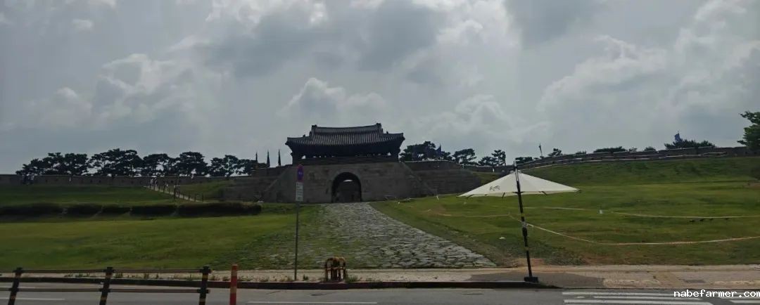 把世界当成课堂,在万物中构建自我——2024常春藤韩国研学