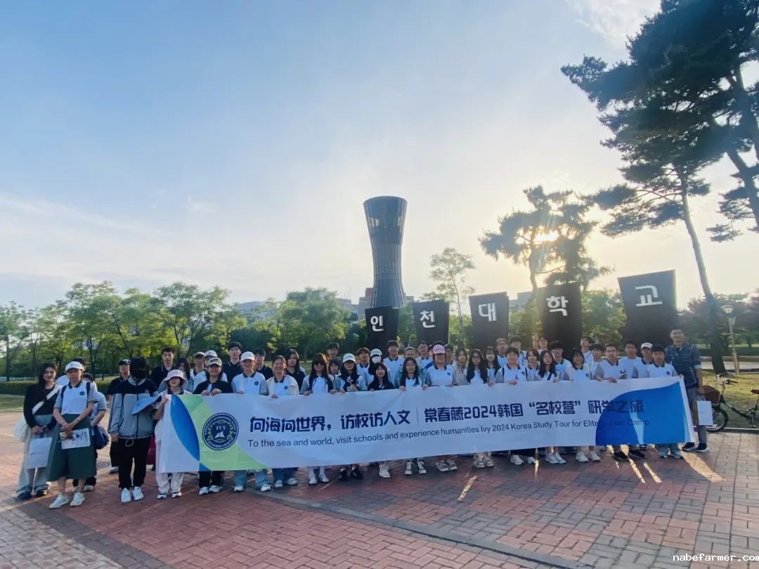 把世界当成课堂，在万物中构建自我——2024常春藤韩国研学
