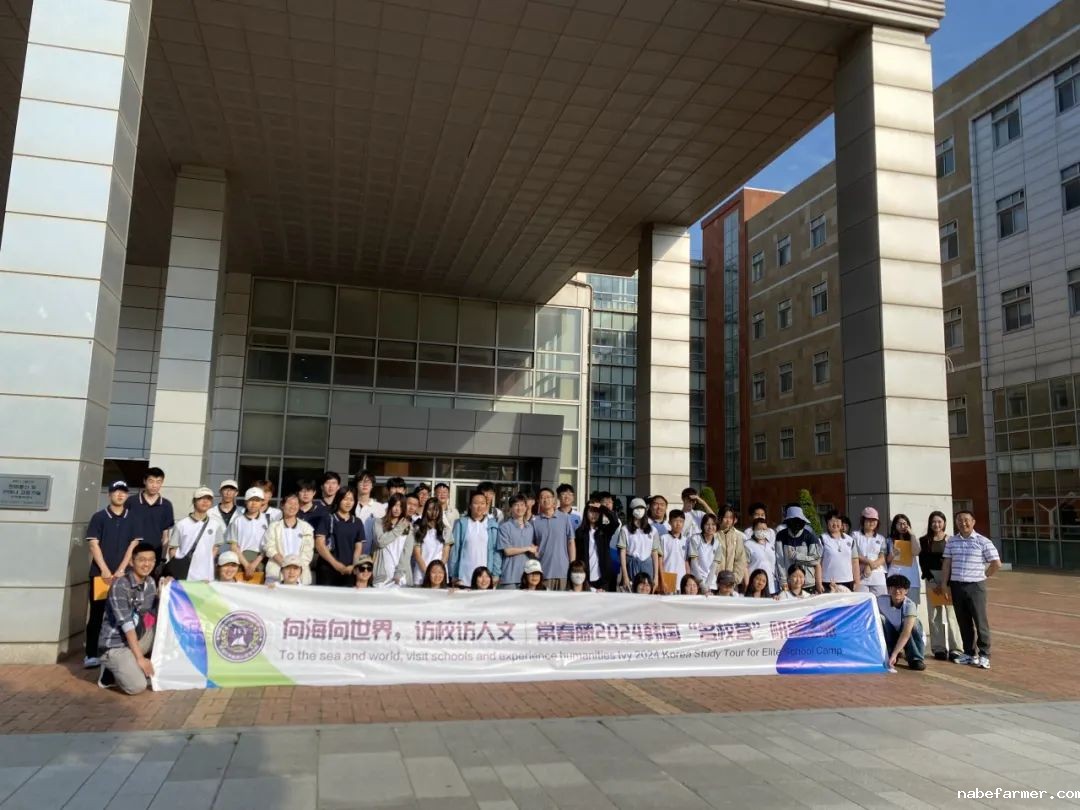把世界当成课堂，在万物中构建自我——2024常春藤韩国研学