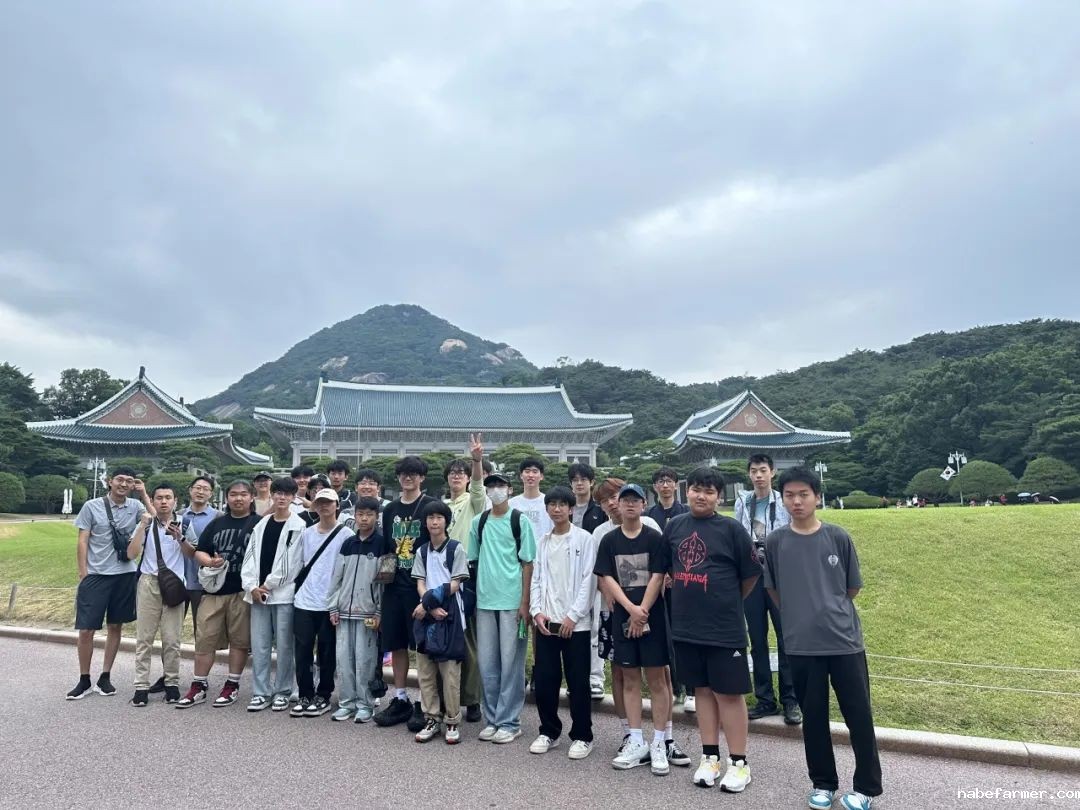 把世界当成课堂，在万物中构建自我——2024常春藤韩国研学
