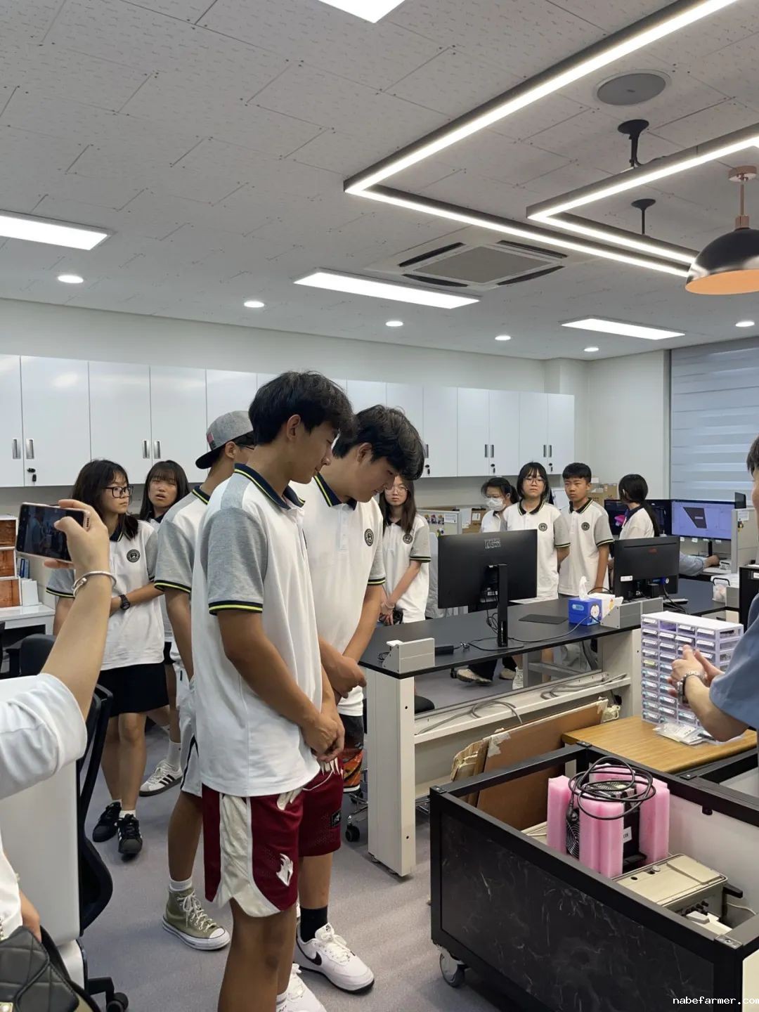 把世界当成课堂，在万物中构建自我——2024常春藤韩国研学
