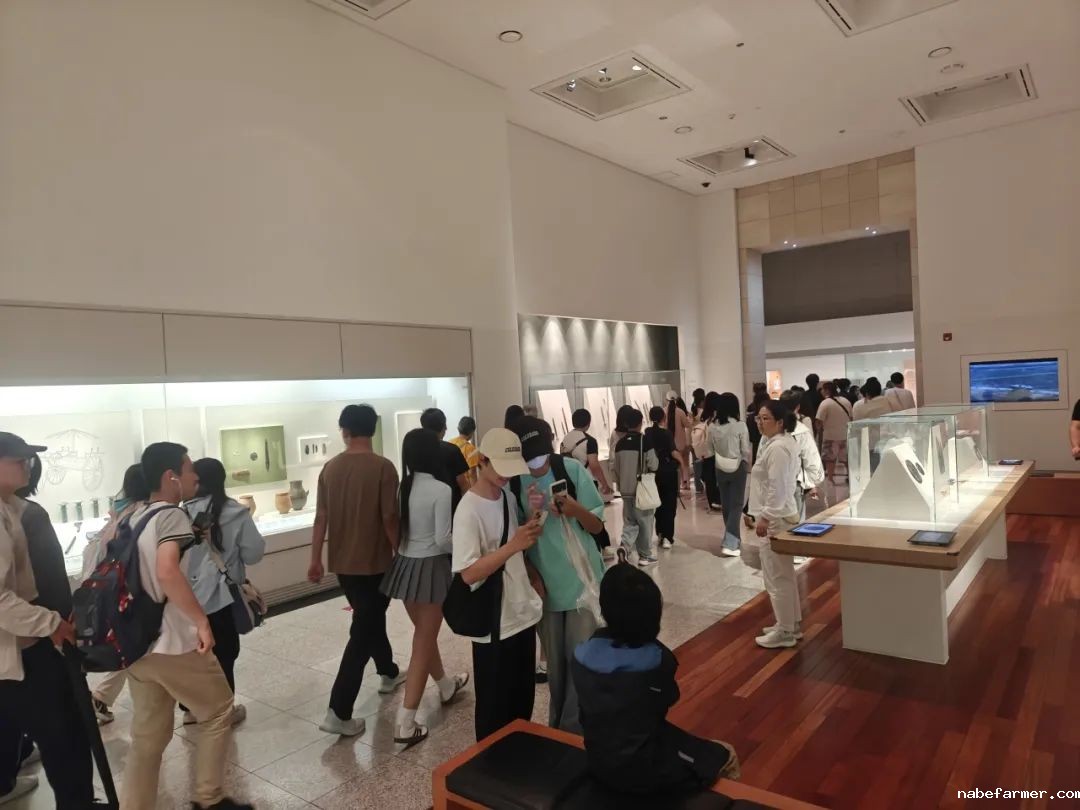 把世界当成课堂，在万物中构建自我——2024常春藤韩国研学