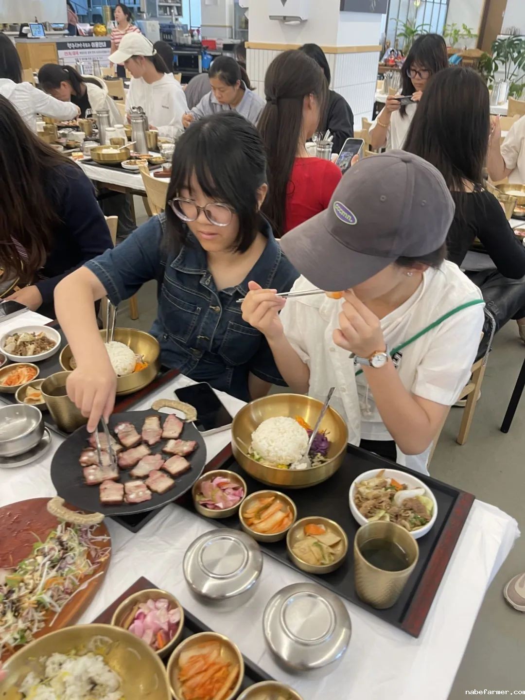 把世界当成课堂，在万物中构建自我——2024常春藤韩国研学