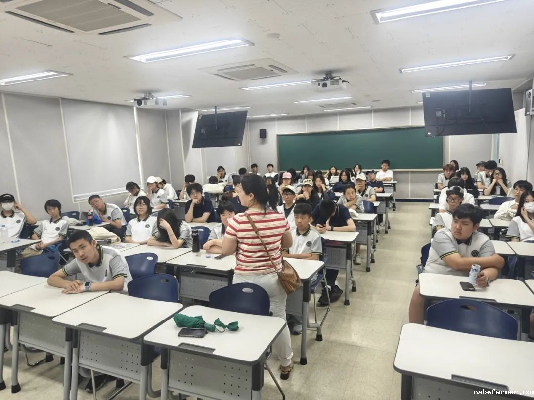 把世界当成课堂，在万物中构建自我——2024常春藤韩国研学