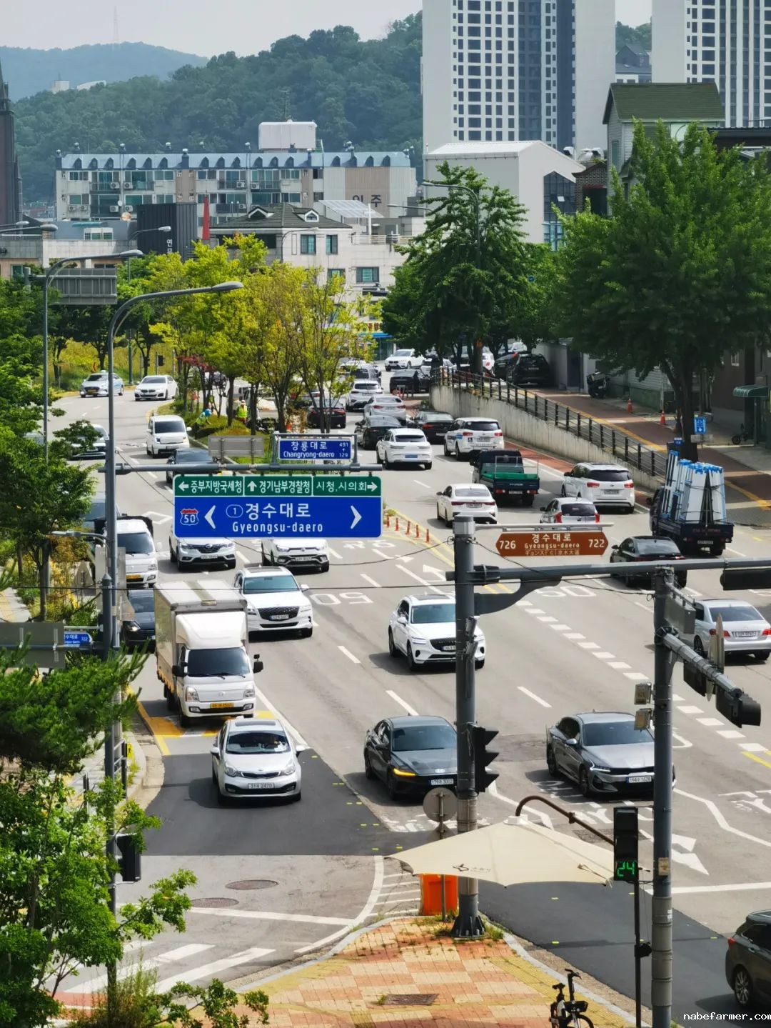 把世界当成课堂，在万物中构建自我——2024常春藤韩国研学
