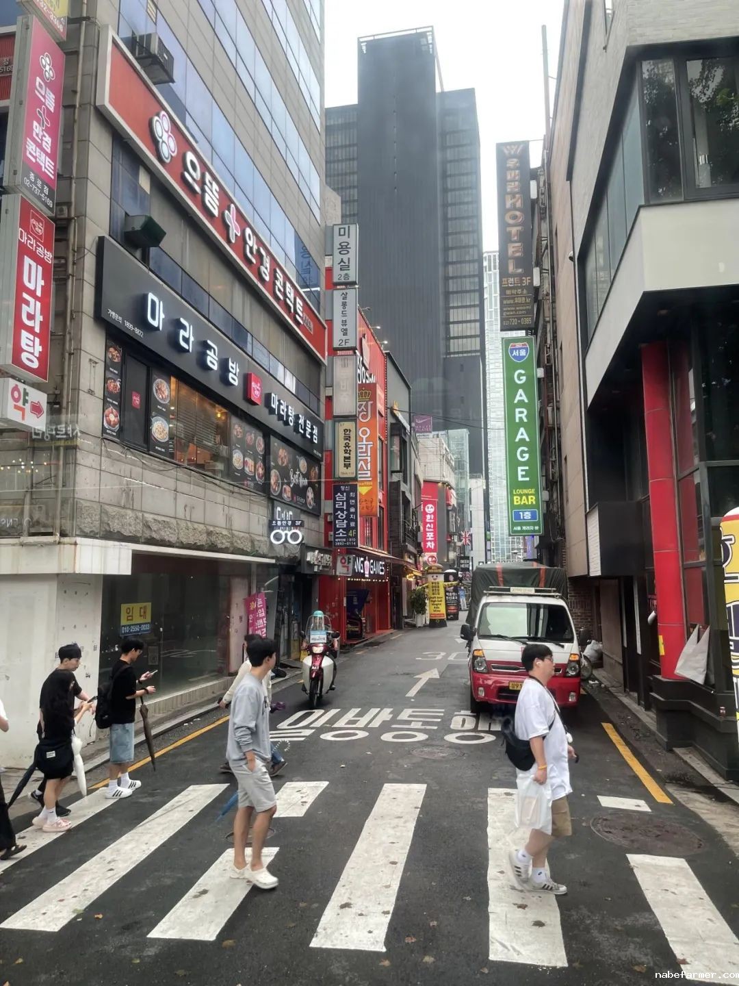把世界当成课堂，在万物中构建自我——2024常春藤韩国研学