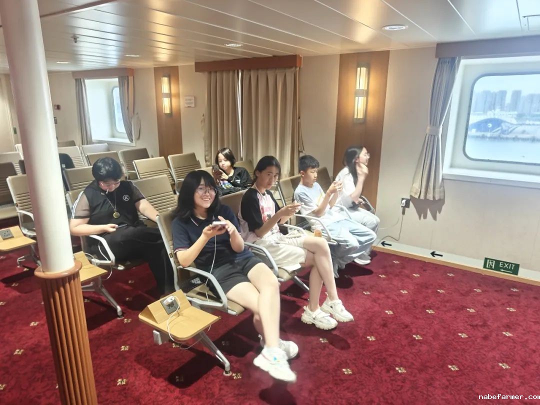 把世界当成课堂，在万物中构建自我——2024常春藤韩国研学