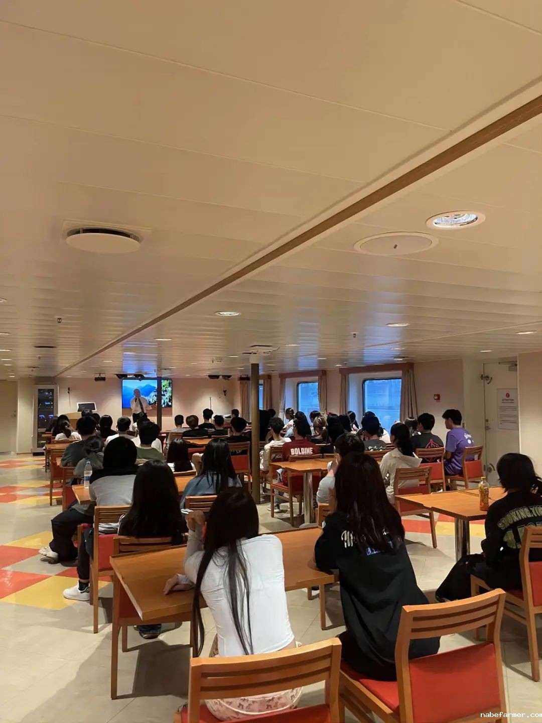 把世界当成课堂，在万物中构建自我——2024常春藤韩国研学