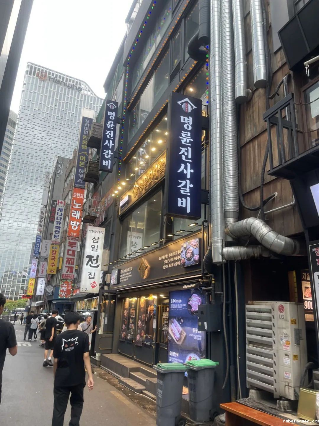 把世界当成课堂，在万物中构建自我——2024常春藤韩国研学