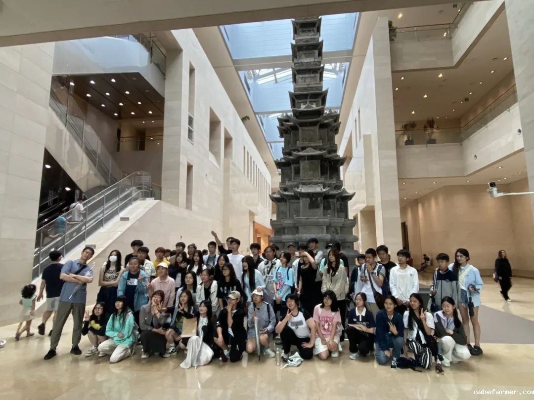 把世界当成课堂，在万物中构建自我——2024常春藤韩国研学