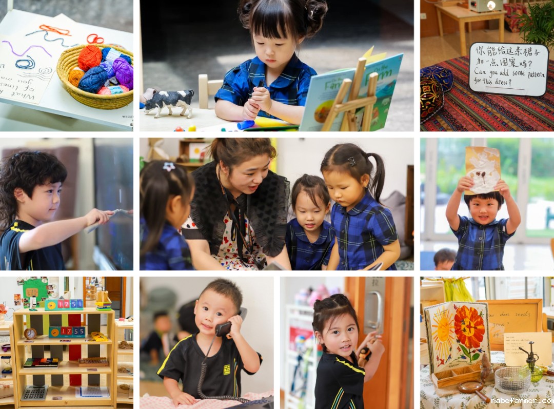 杭州惠立幼儿园学生学术能力全面超越英国本土标准