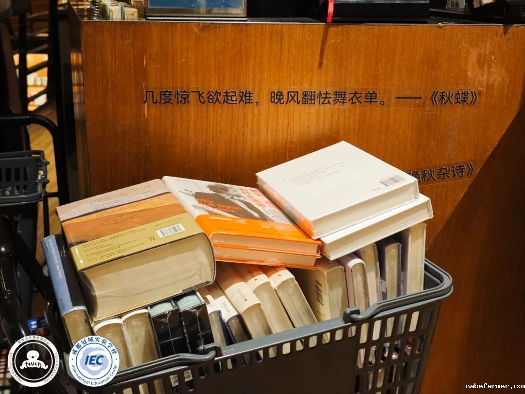 【书香伴我行】书店里的研学 夏日里的行走课堂