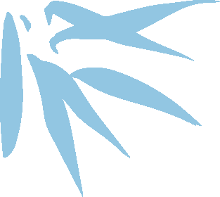 非应试教育国际课程助力终身学习能力培养