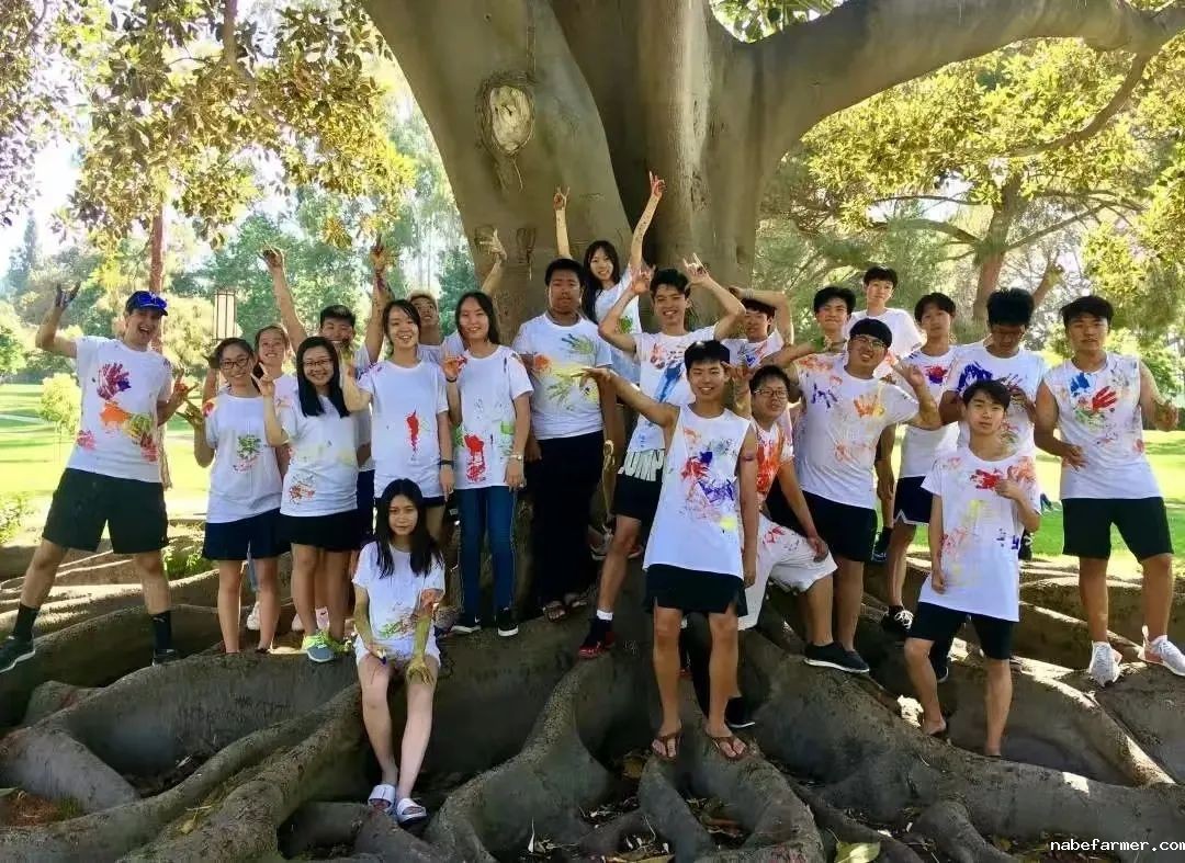 全英文体验营｜与牛津教授一起，在奇幻世界中收获知识的硕果！