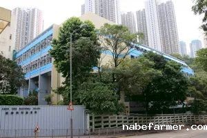 香港多所中学本周末开放日时间，快来看看有没有你喜欢的学校！