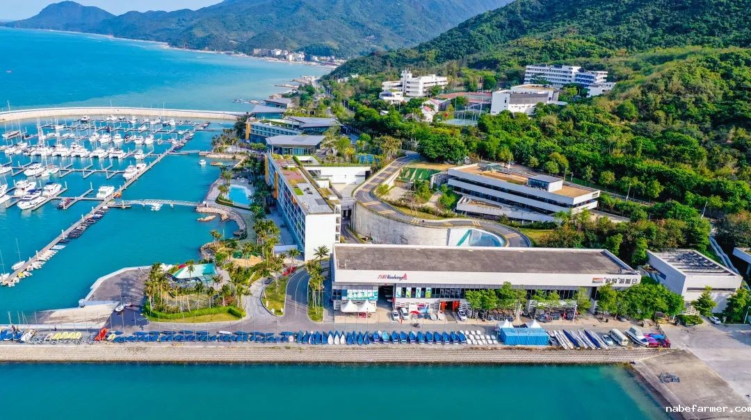 2025年1月 哈佛大学寒假帆船特训营