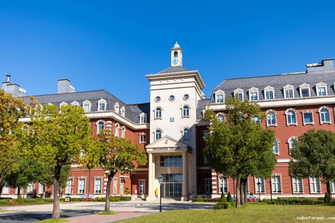 录取更新 | 近半数学生被世界排名前20大学录取，更有学生斩获专业排名世界第一的Offer！