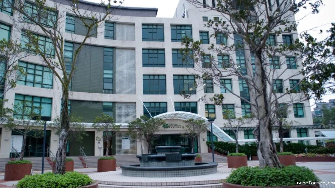香港哪三间大学毕业生薪酬最高？你以为是港大、中大和科大？错了！