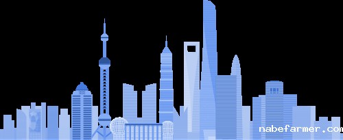 2025冬令营｜上海职业探索冬令营精彩回顾