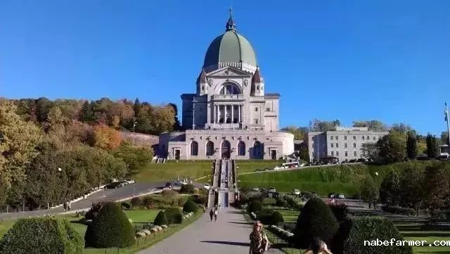 遇见最美的加拿大——2025名校之旅夏令营开始报名啦！