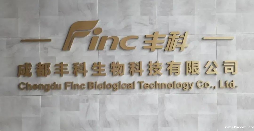 不一样的商务课程丨探秘成都丰科菌菇生产，领略现代农业魅力