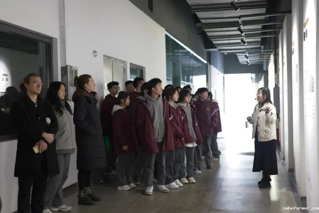 不一样的商务课程丨探秘成都丰科菌菇生产，领略现代农业魅力