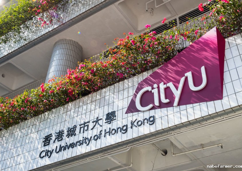 港八大中的科大、城大、理大怎么选？三维度对比！