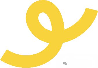 漢鼎事｜揮灑汗水，綻放青春——漢鼎書院2025年度運動會圓滿舉行