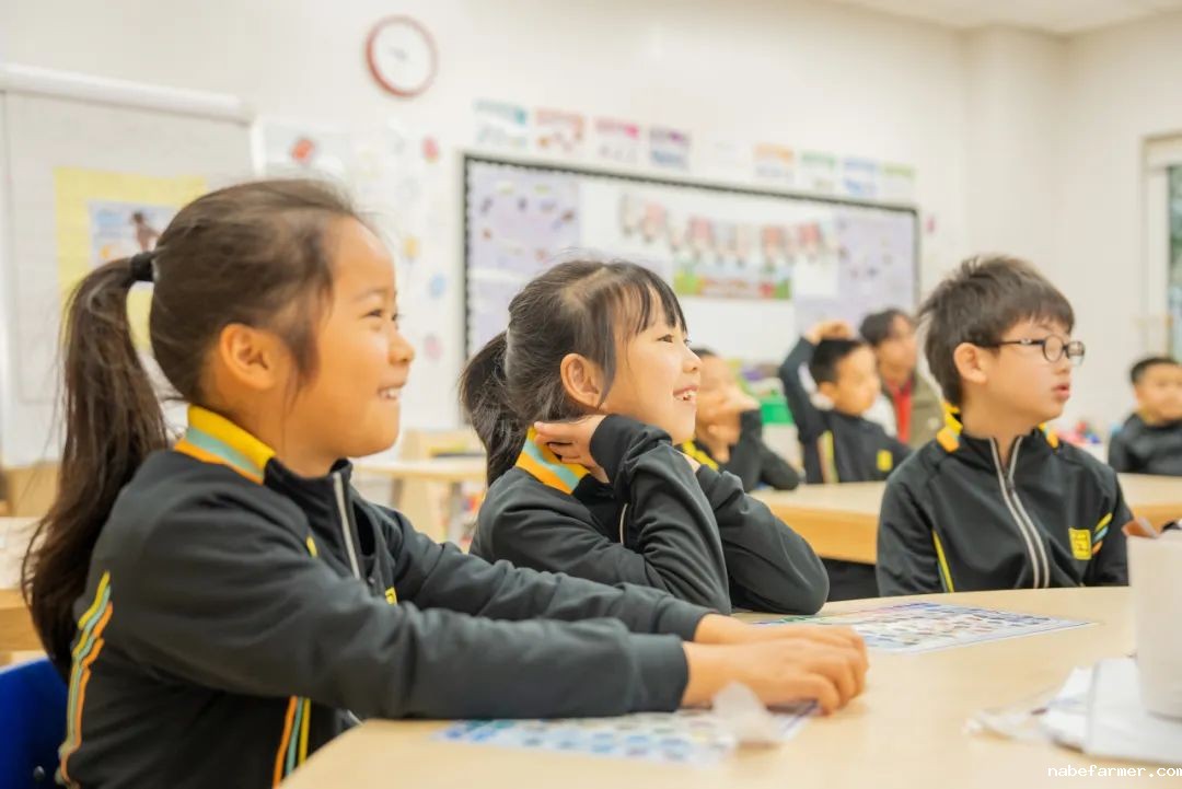 竞赛喜报｜惠立小学部学子在AMC 8美国数学竞赛中再获佳绩！