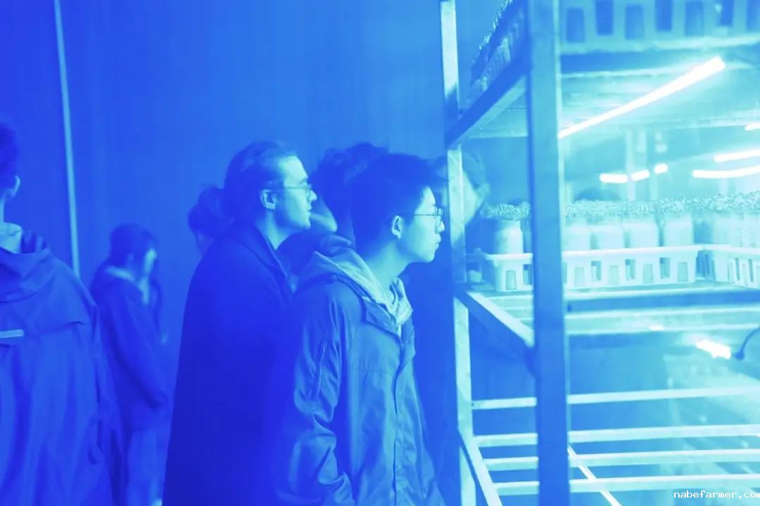 不一样的商务课程丨探秘成都丰科菌菇生产，领略现代农业魅力